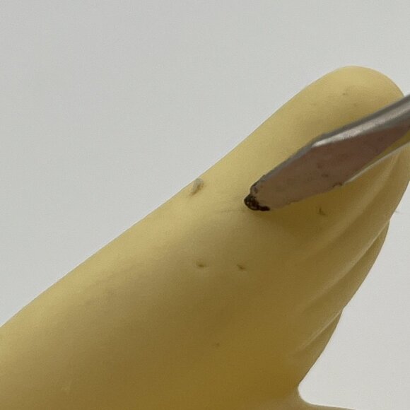 Vintage 1986 MoonDreamers Roary the Flying Lion Glow-in-the-Dark Hasbro Figure - Picture 8 of 16